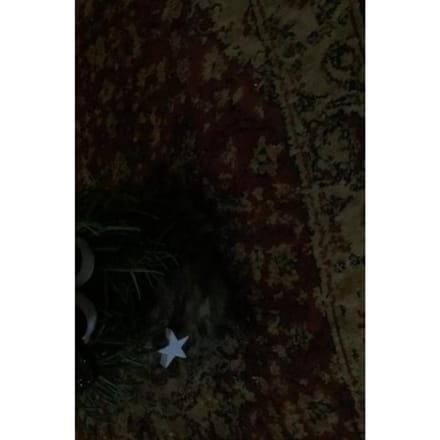 Mooie Kerstverhalen - Ans Linders