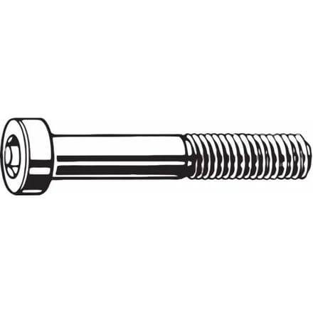 Paar achterste remklauwschroeven TRP flat mount - inox - 17mm