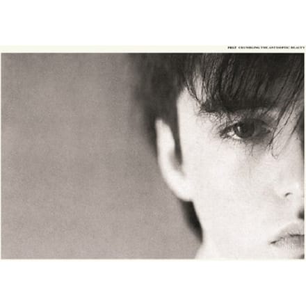 Crumbling The Antiseptic Beauty (Deluxe Remastered Gatefold Sleeve Vinyl Edition)