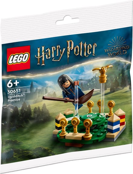 LEGO Harry Potter Quidditch Practice 30651, Bouwpakket, 6 jaar, Kunststof, 55 stuk(s)