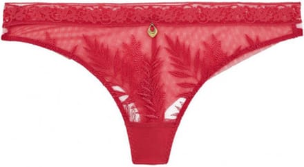 Aubade Parenthese Tropic String LB26 JOY - maat 40