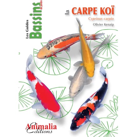 Livre La Carpe Koi Martin Sellier
