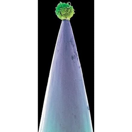 CD PETER GABRIEL - New Blood  PGCDUS13 Real World Reco 2011 US Rock Gebruikt gray