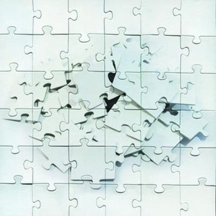 Not Scientists - Destroy To Rebuild (CD)
