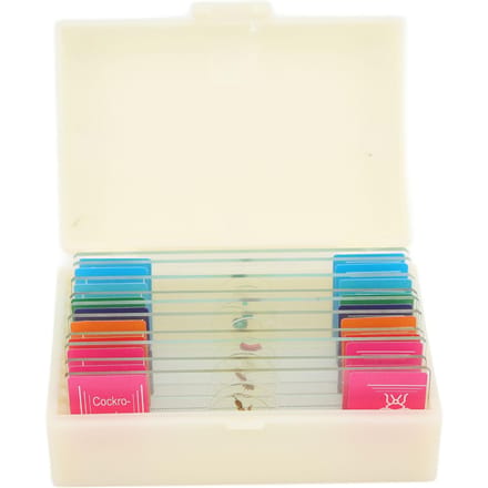10 stuks Microscoopplaatje Biologisch Plaatje Specimen Geslepen Rand Zeer Transparant voor Kinderen en beige