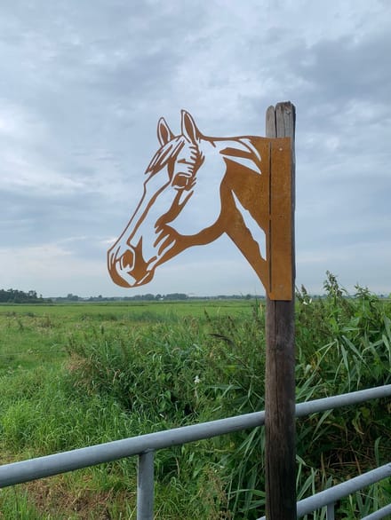 Metalen Dier - Paard - Tuindecoratie - Cortenstaal - Metaalversiering