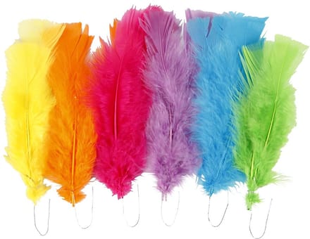 Veren, L: 11-17 cm, diverse kleuren, 18 bol/ 1 doos