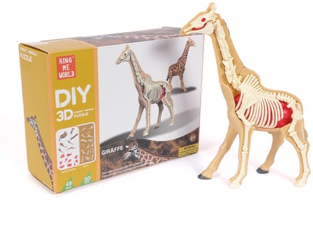 PIA Soft Toys - 3D Anatomie - Giraf