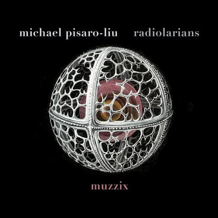 Muzzix - Michael Pisaro-Liu: Radiolarians (CD)