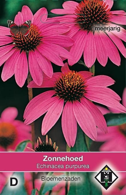 3 stuks Van Hemert & Co Echinacea purpurea