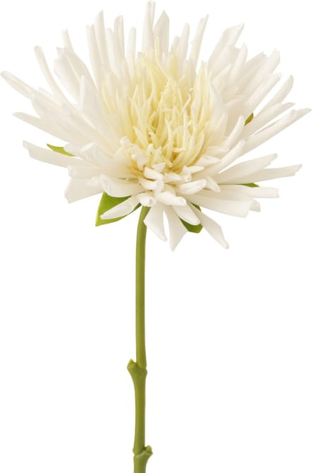 J-Line bloem Chrysant Mini - kunststof - wit - small - 24 stuks