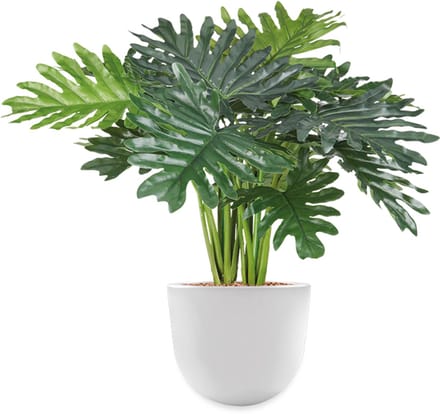 Kunstplant Philo Xanadu in Eggy H65 cm