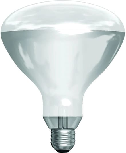 Schiefer E27 Infrarood Lamp | 300W 220V/240V R125
