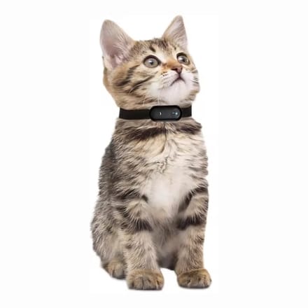 Multifunctionele Camera - 32GB - Fiets - Sport - Kat - Hond