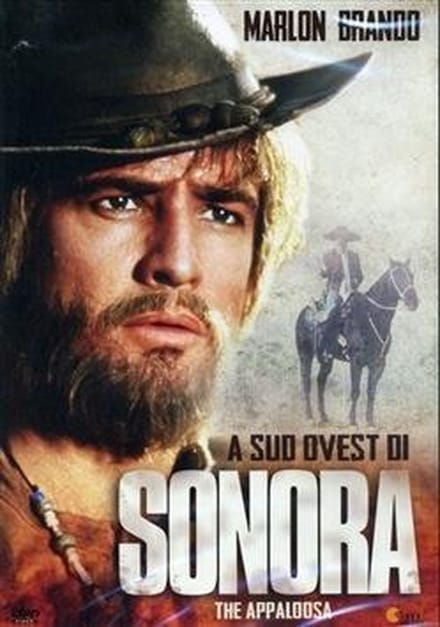 laFeltrinelli A Sud Ovest di Sonora DVD Italiaans