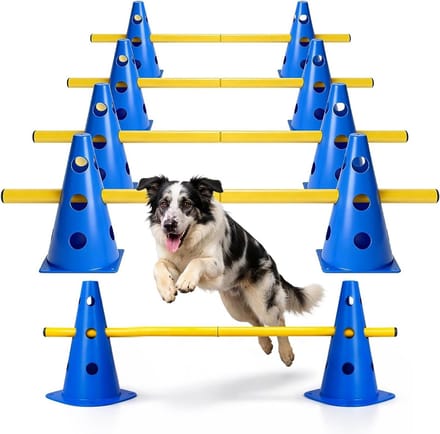 Multi-functionele Agility Set voor Honden, Paarden en Kinderen - Obstakels, Coördinatietraining en Voetbaltraining met Conen, 23 cm Hoog