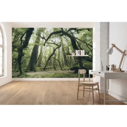Fotobehang - Ancient Green 450x280cm - Vliesbehang