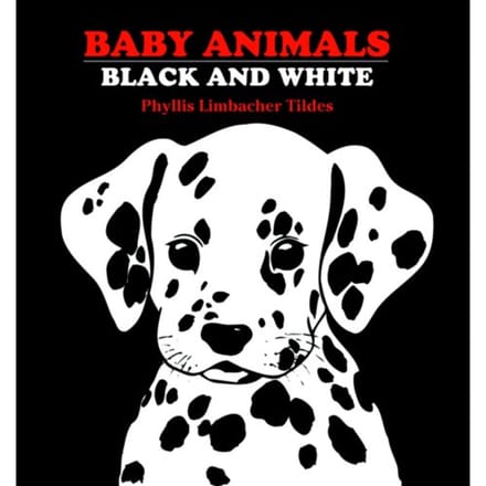 Baby Animals Black And White - Phyllis Limbacher Tildes