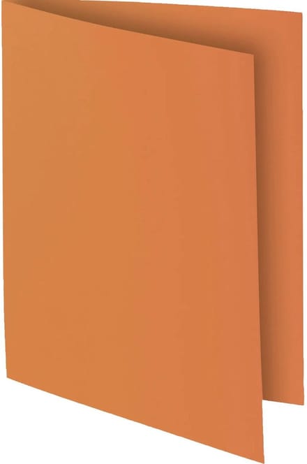 Exacompta ROCK''S 80 - Pak van 100 inlegmappen 22x31cm voor A4 - Havana - 800014E