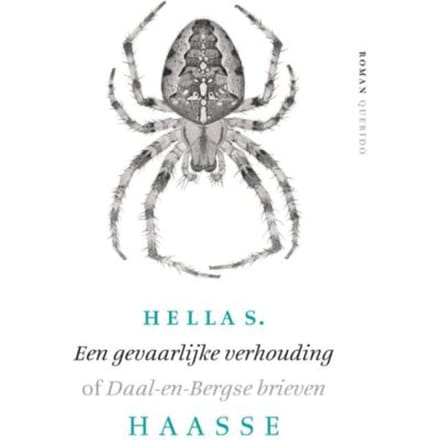 Een Gevaarlijke Verhouding - Hella S. Haasse