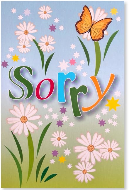 Sorry… Wenskaart - 12 x 17 cm - gevouwen kaart Inclusief envelop