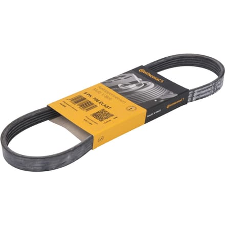 Continental Ctam V-riem CONTINENTAL 5PK705 ELAST