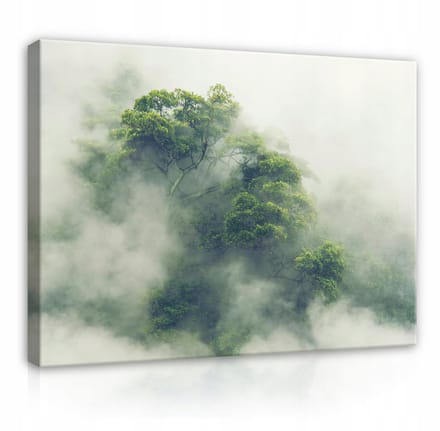 WALLARENA - Canvas schilderij - 120x80 cm - Natuur Jungle in de Mist
