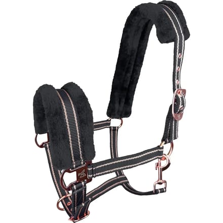 Halster voor paarden York Gold Star