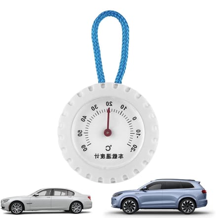 Temperatuurmeter - Omgevingstester - Binnen en buiten - Real-time updates - 5 cm - Meerkleurig