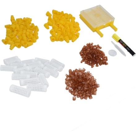 Koninginnenteelt Entset Herbruikbaar Plastic Bijenteelt Markeergereedschap yellow