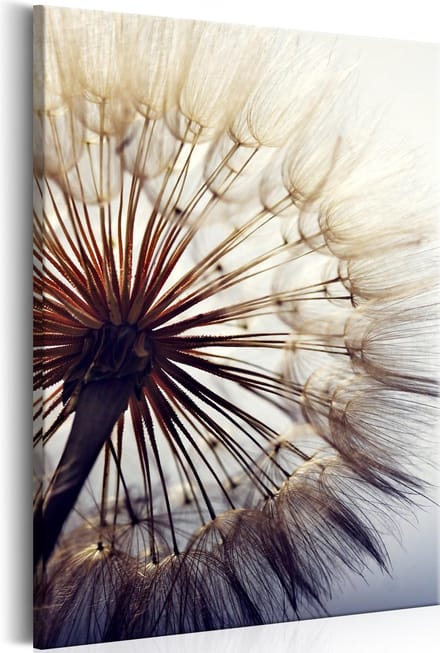 Schilderijen Op Canvas - Schilderij - Beautiful Summer 40x60 - Artgeist Schilderij