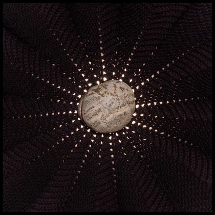 Nat Baldwin - In The Hollows (CD)