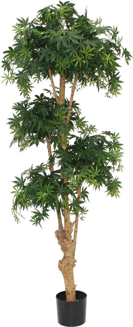 Designplants Acer Bonsai Kunstplant