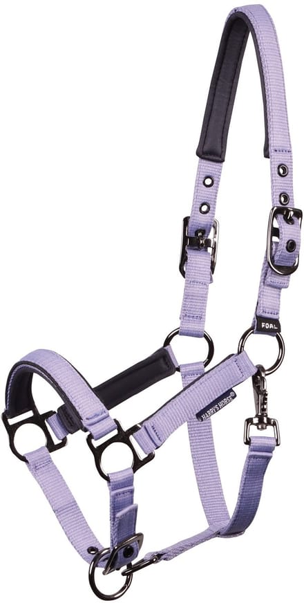 Harry's Horse - Veulenhalster Pepper - Persian-Violet