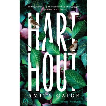 Harthout - Amity Gaige