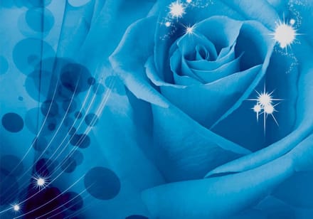 Flower Rose Photo Wallcovering