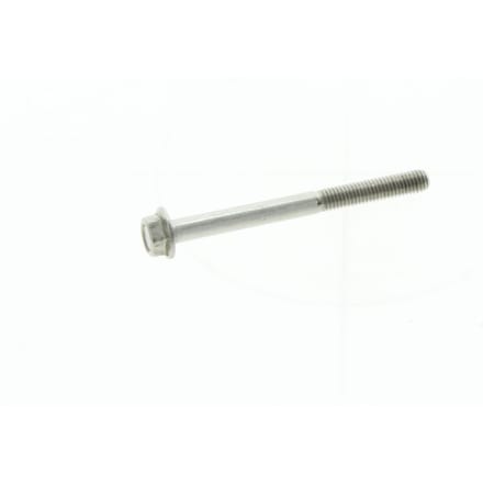 Screw