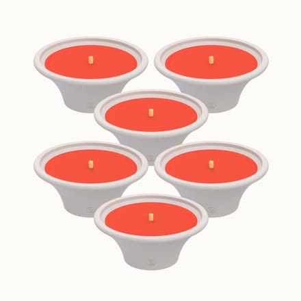 Spaas Citronella Buitenkaars in witte Terracottaschaal – Levendig Rood – circa 9u – 6 tuinkaarsen