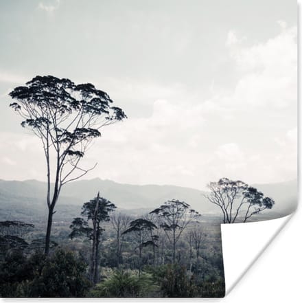 Poster Bomen - Lucht - Natuur - 100x100 cm XXL