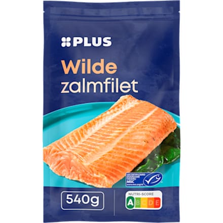 Wilde zalmfilet