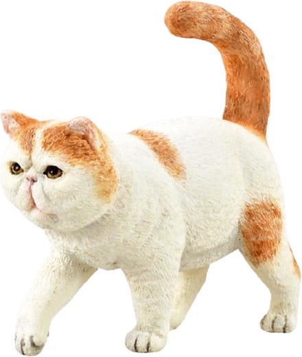 COLLECTA Figurine - Exotic Korthaar - (S) - Katten - Handgeschilderd - Miniatuur