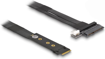 Delock M.2 Key M to U.2 SFF-8639 NVMe Adapter with 20 cm cable