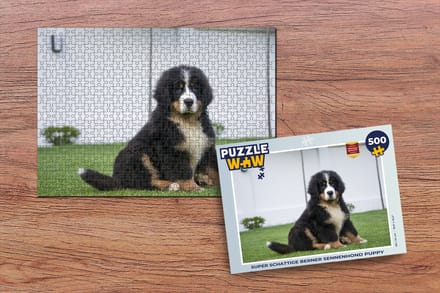 Puzzel Super schattige Berner Sennenhond puppy - Legpuzzel - Puzzel 500 stukjes