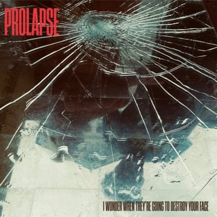 Prolapse - I Wonder When They're Going To Destroy Your Face (CD)