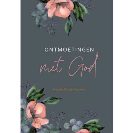 Ontmoetingen Met God - Priscilla Docter- Agteres