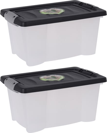 Storage Solutions Opslagbak/opbergdoos/organizer - 2x stuks - met deksel - kunststof - 9 Liter