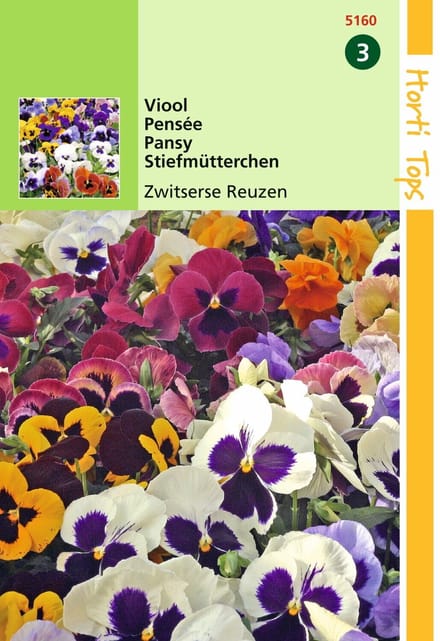 2 stuks - Hortitops - HT Viola, Viool Zwitserse Reuzen