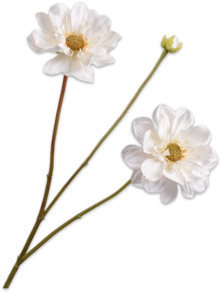 Silk-ka - Kunstbloem - dahlia - creme - H75 cm