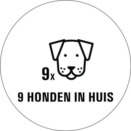Honden in huis sticker - 80 x 80 mm 9