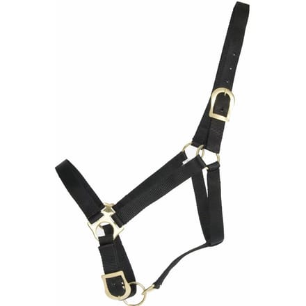 Halster voor paarden T de T First